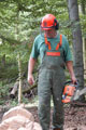 Click to see it big Ich mit Kettensäge, Impression aus dem Wald